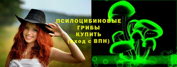 спайс Алексин