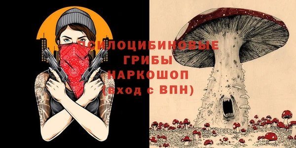 спайс Алексин